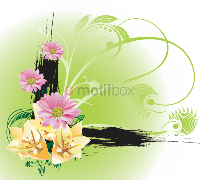 Floral Vector Png 700 X 629
