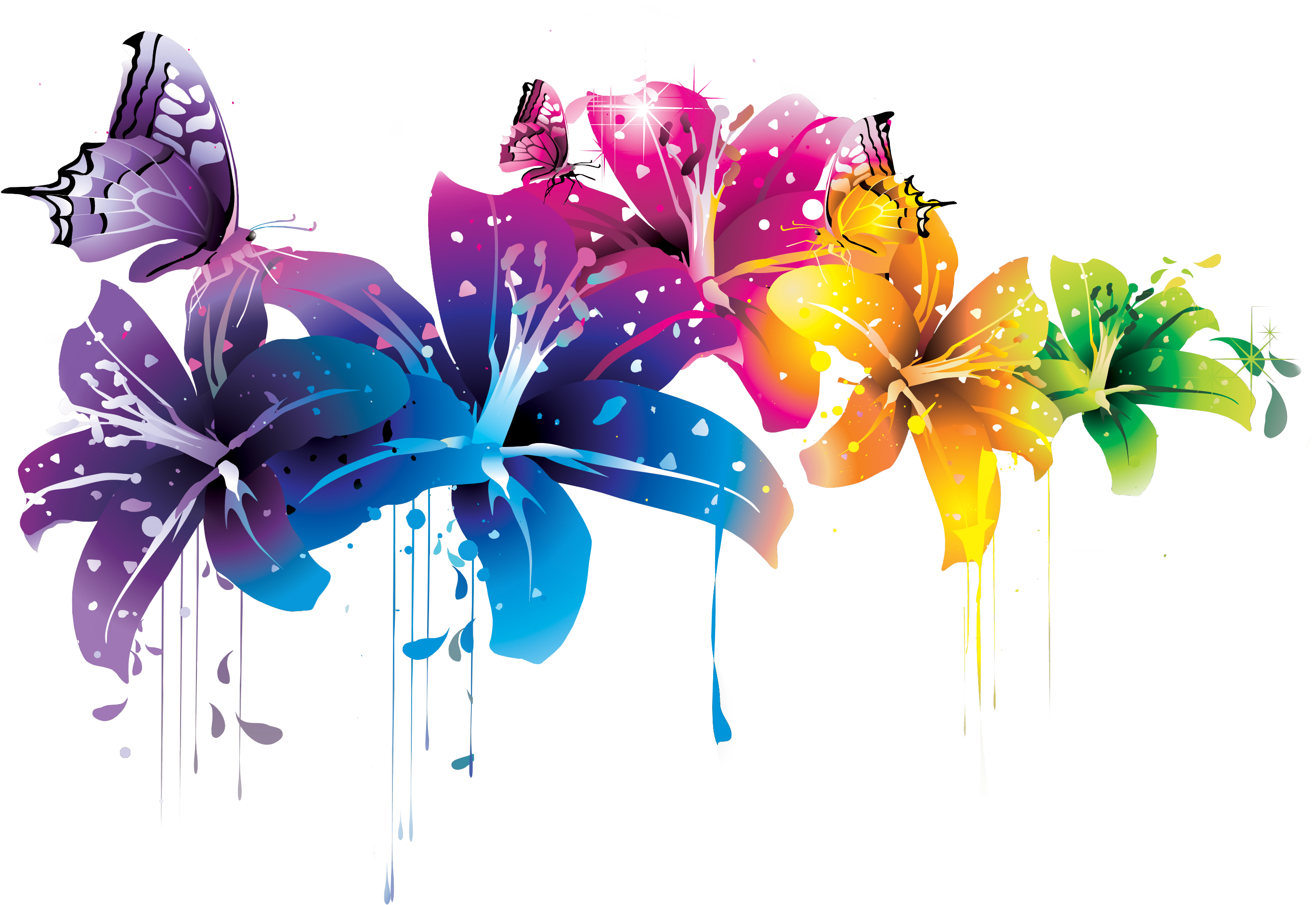 Floral Vector Png 2733 X 1879