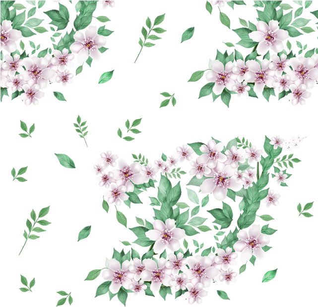 Floral Vector Png 641 X 620