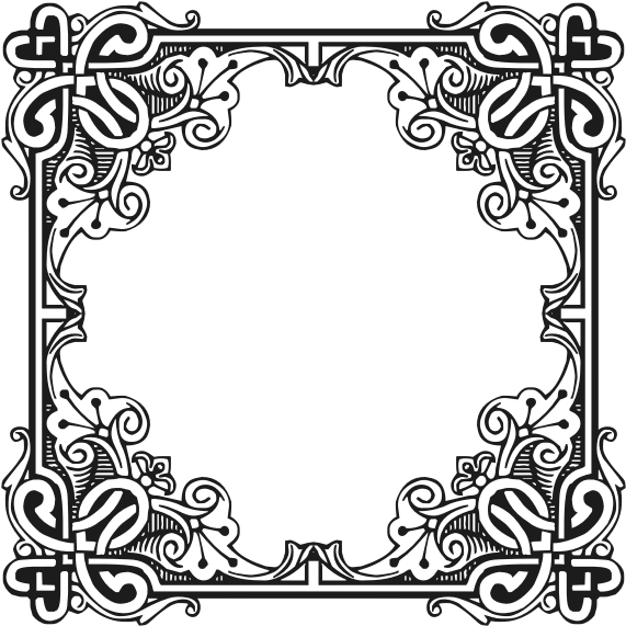 Floral Vector Png 571 X 571