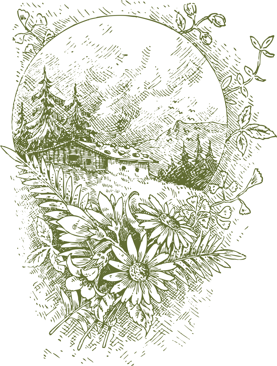 Floral Vector Png 1177 X 1556