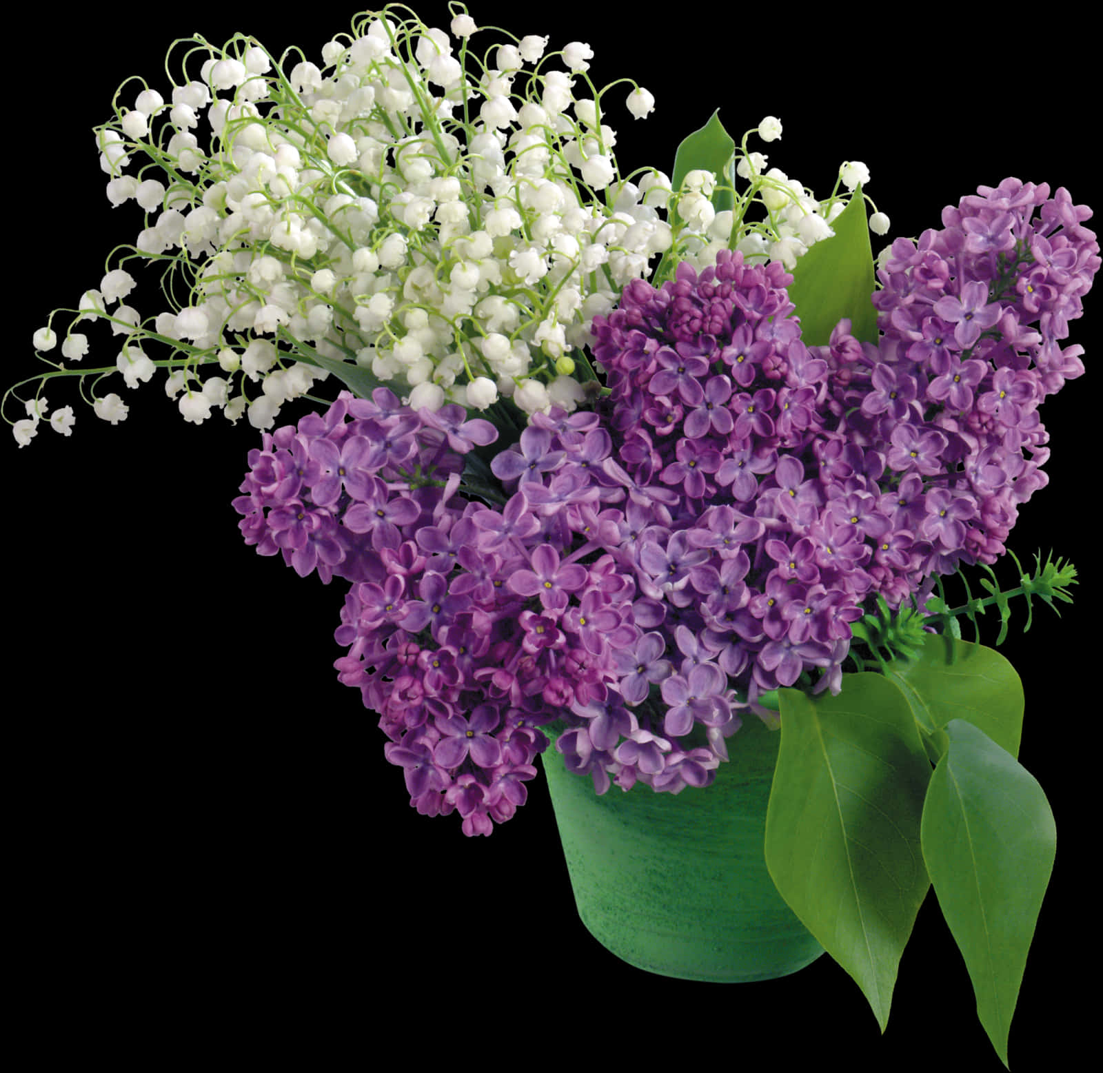 A Bouquet Of Purple And White Flowers