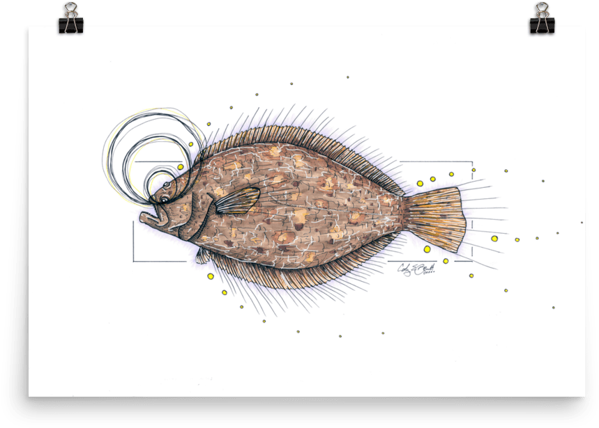 Flounder Png 859 X 615