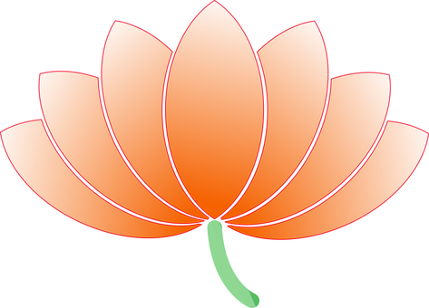 Flower Png 473 X 340