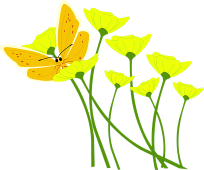 A Butterfly On A Yellow Flower