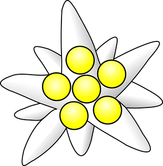 A White Flower With Yellow Dots