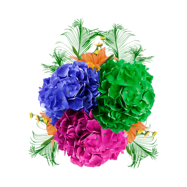 Flower Png 720 X 720