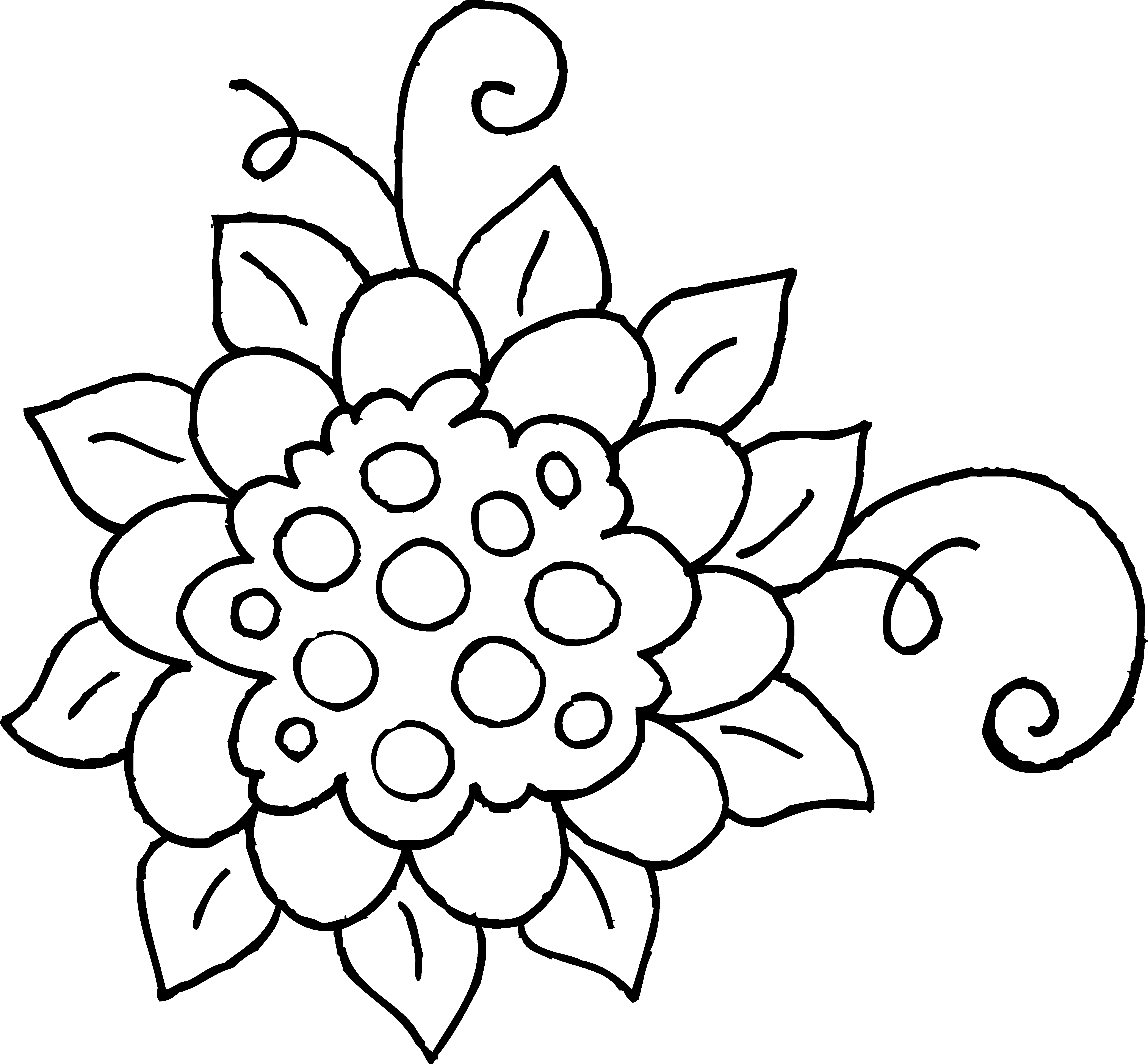 A White Flower With Leaves On A Black Background