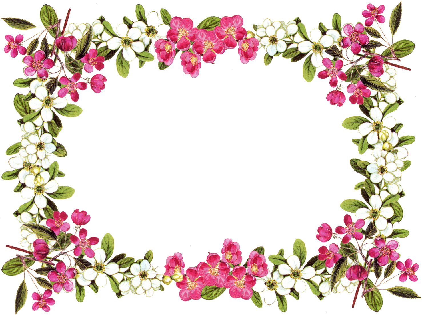 A Rectangular Frame Of Flowers