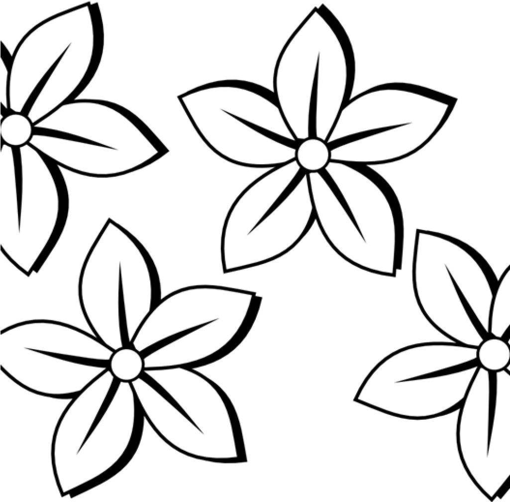Flower Clipart Black And White Birthday Clipart Hatenylo - Jasmine Flower Black And White, Hd Png Download