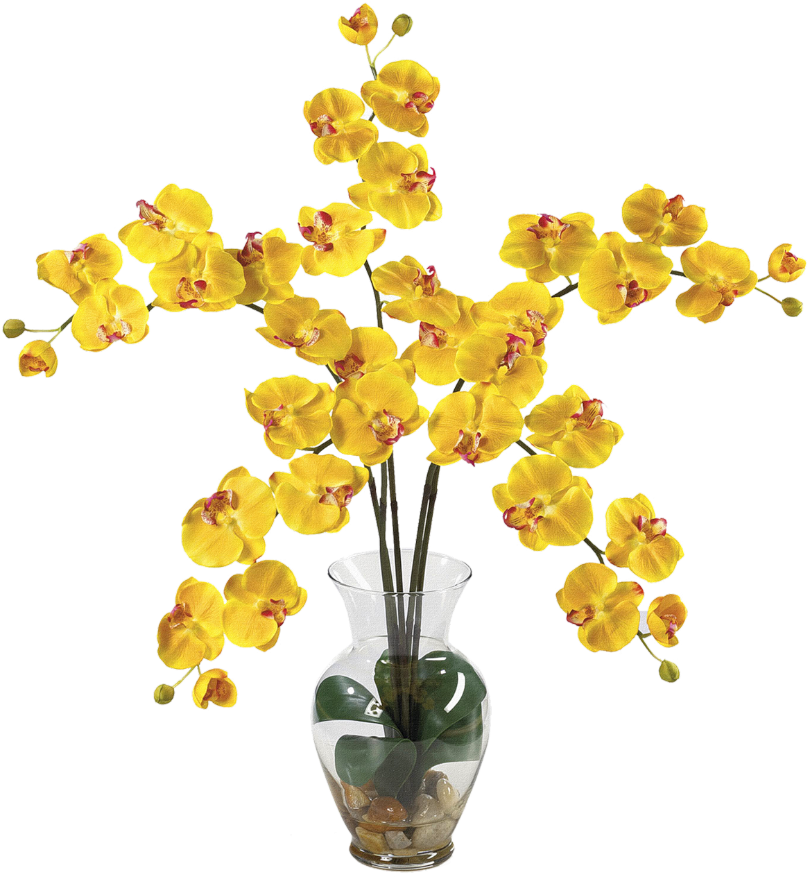 Download A Yellow Flowers In A Vase [100% Free] - FastPNG