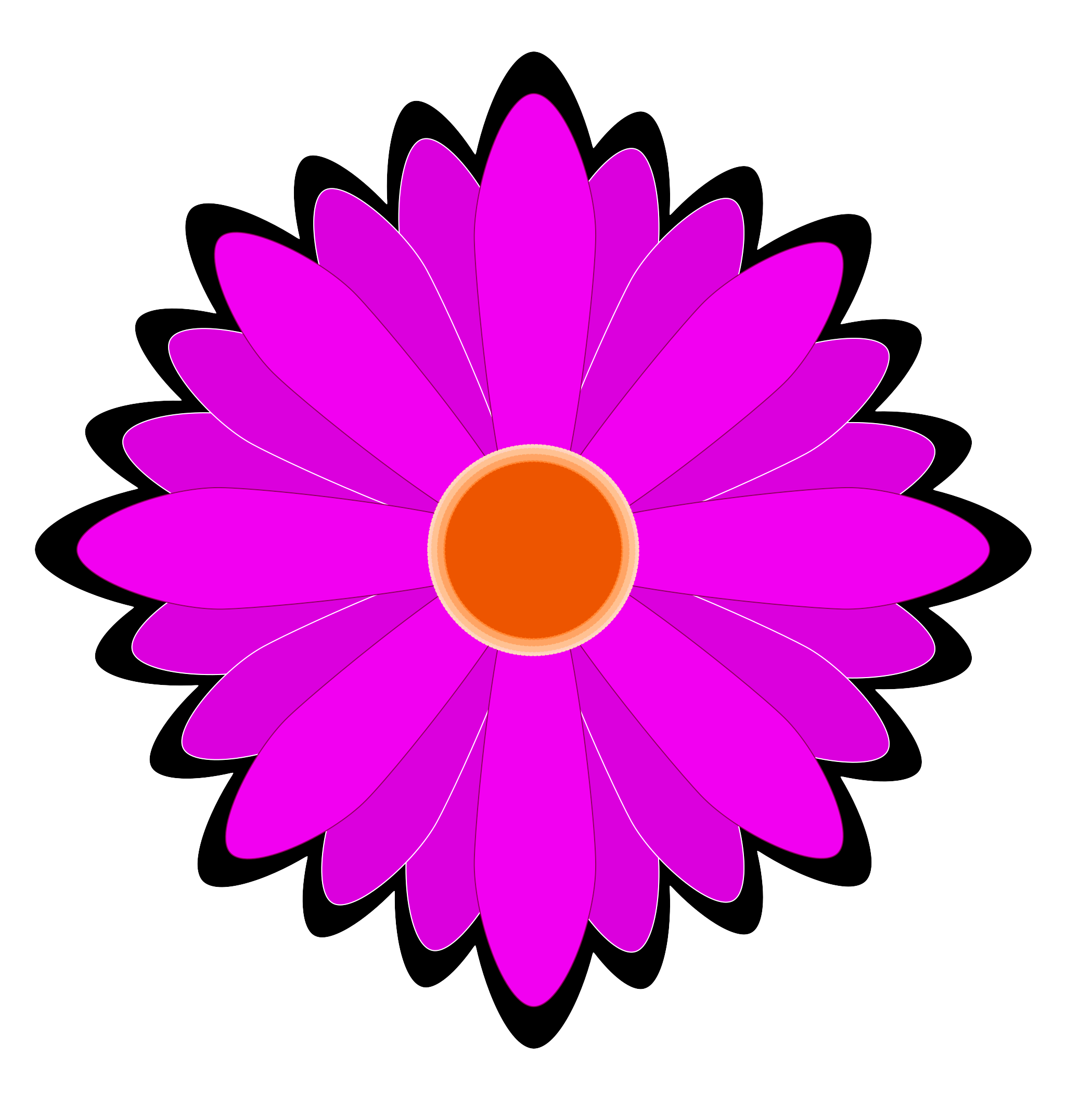 Purple Flower With Orange Center