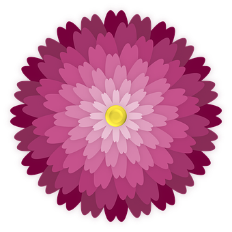 A Pink Flower With A Yellow Center