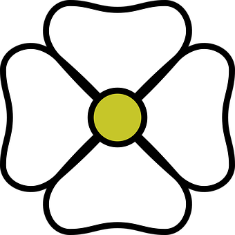 A White Flower With A Yellow Center