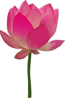 Flower Png 224 X 340