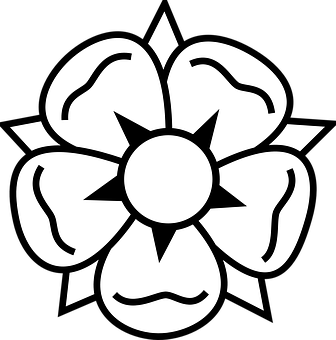 A White Flower With A Black Background