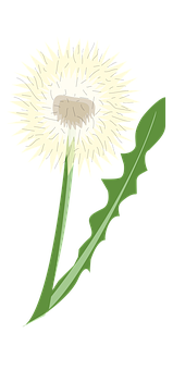 Flower Png 159 X 340
