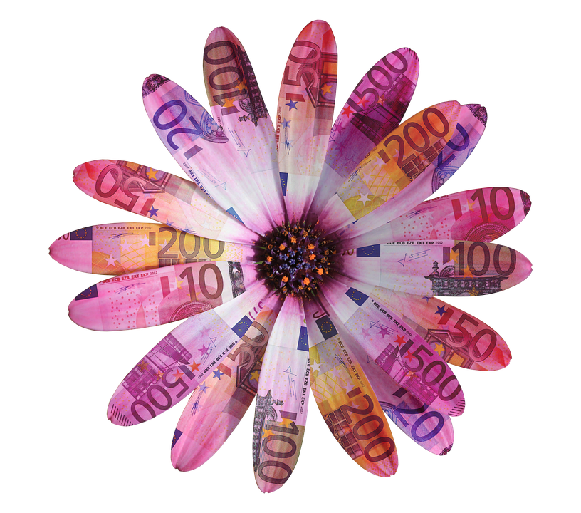 Money Flower