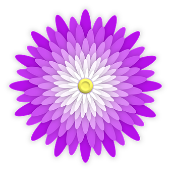 A Purple And White Flower