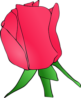 Flower Png 279 X 340