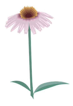 Flower Png 234 X 340