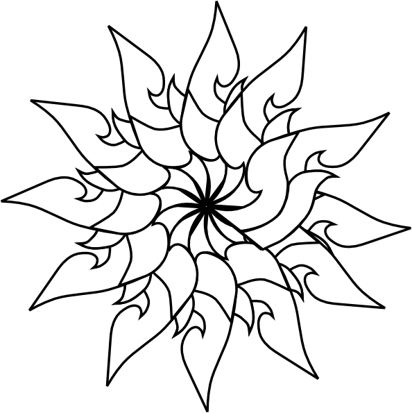 A White Flower With Black Background