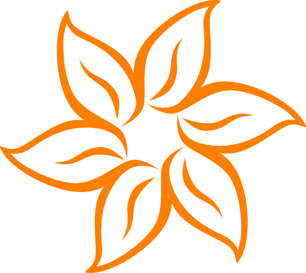 A Black And Orange Flower