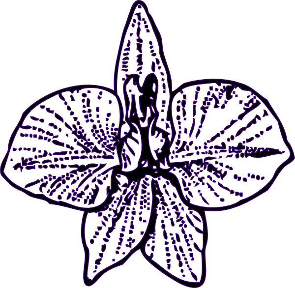 A Purple Line Drawing Of A Flower
