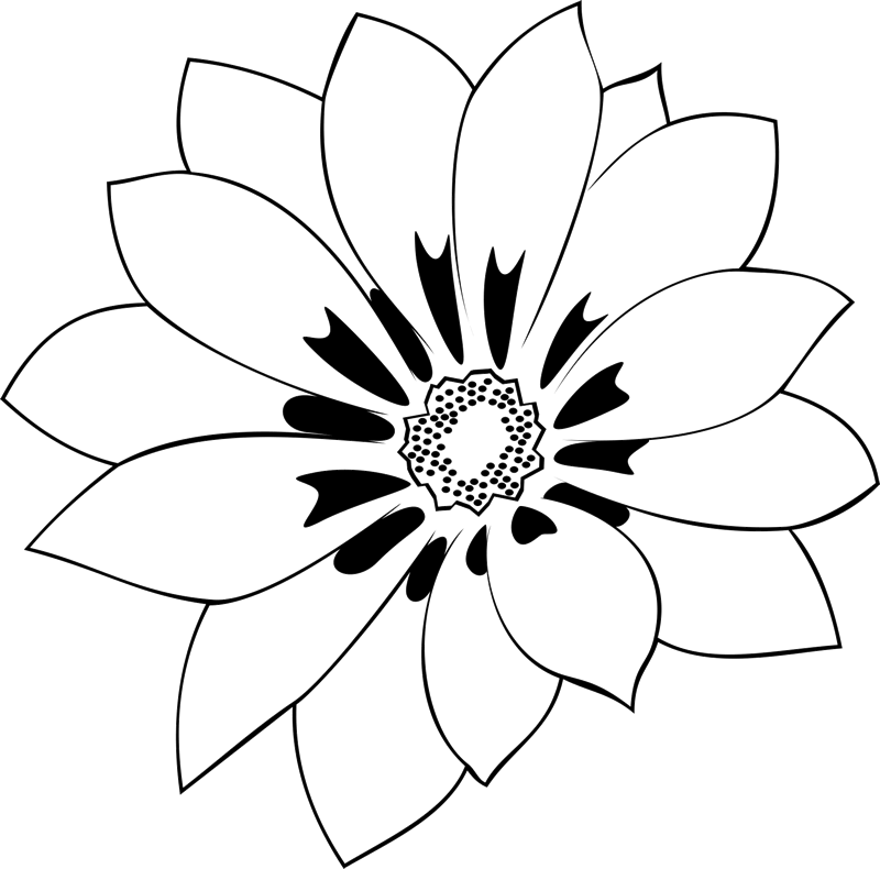 A Black And White Flower