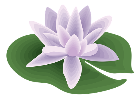Flower Png 479 X 340
