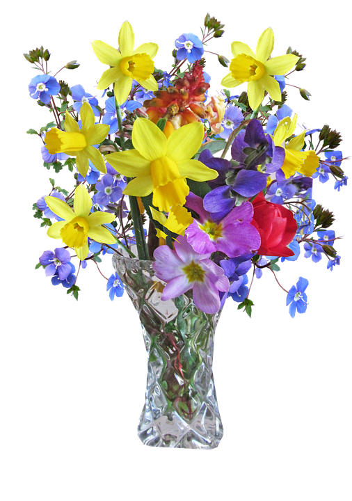 Flower Png 506 X 720