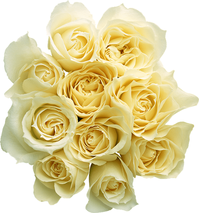 Flower Png 671 X 720