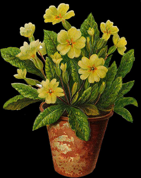 Yellow Flowers In Flower Pot