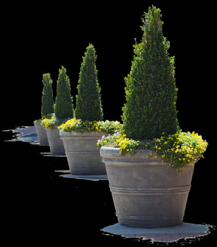 A Row Of Potted Plants