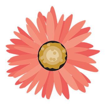 Flower Png 341 X 340