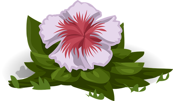 Flower Png 579 X 340