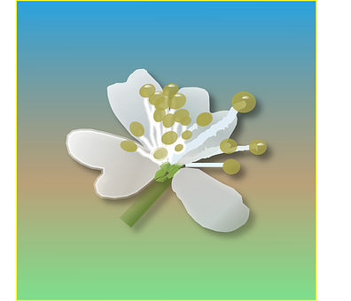 Flower Png 396 X 340