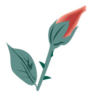 Flower Png 320 X 340