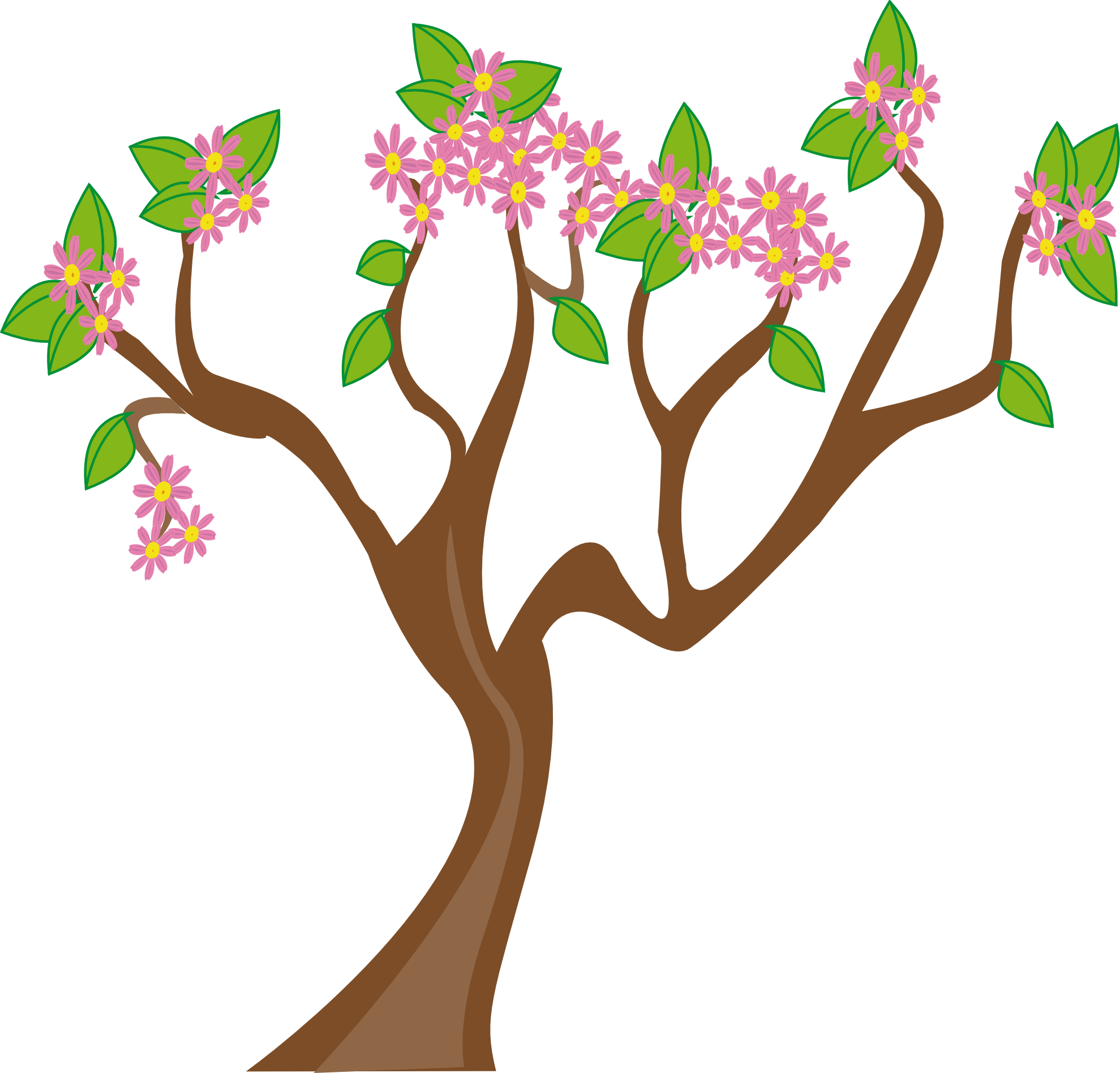 A Tree With Pink Flowers And Green Leaves