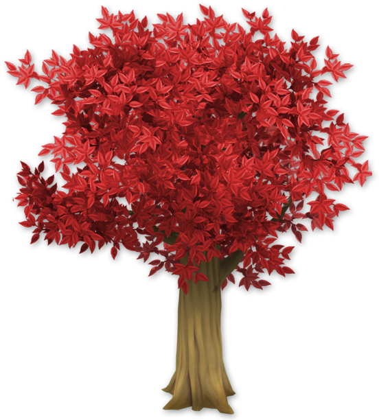 A Tree With Red Leaves