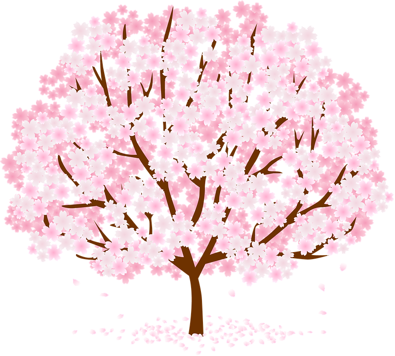 A Pink And White Tree With Pink Flowers