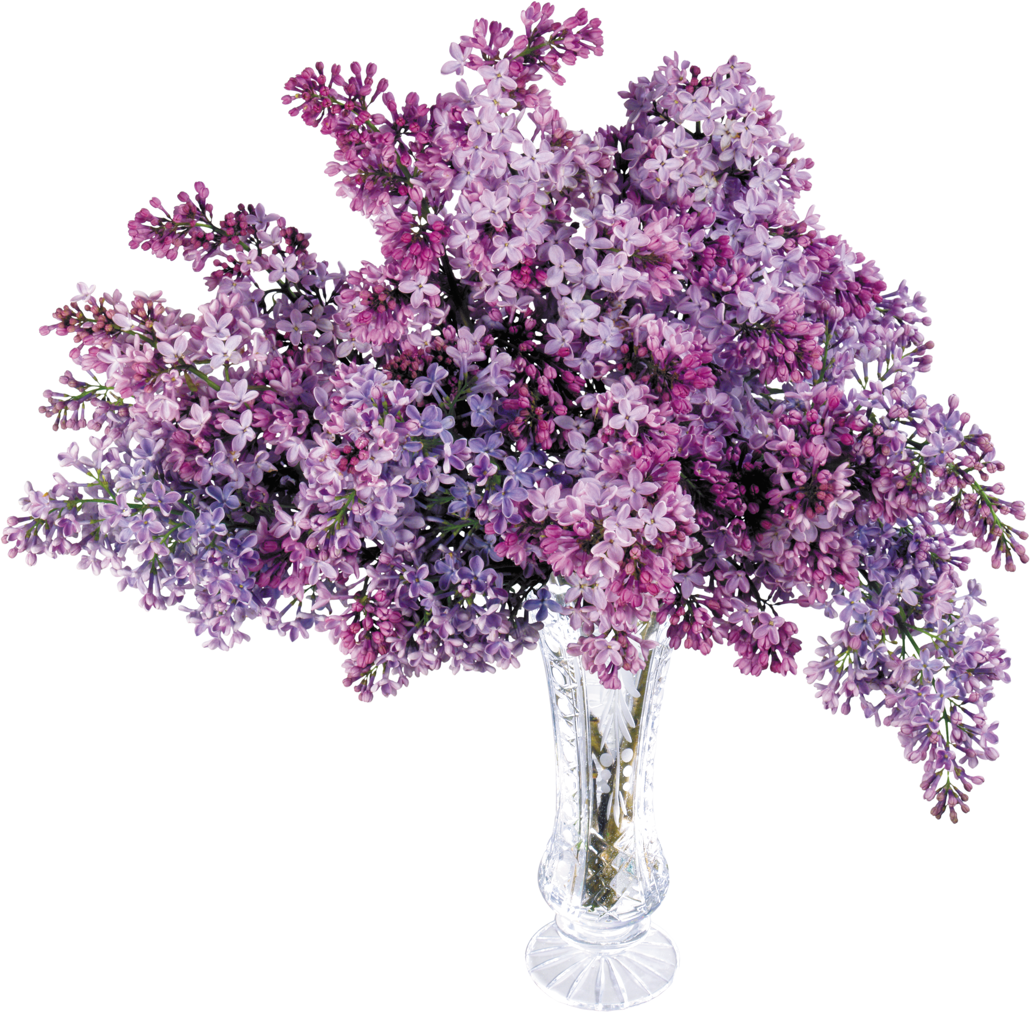 A Vase With Purple Flowers