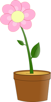 Flower Png 170 X 340