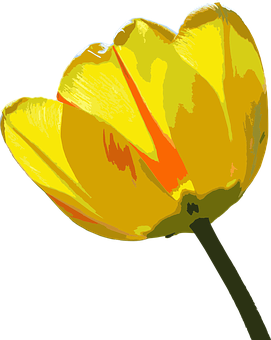 Flower Png 271 X 340