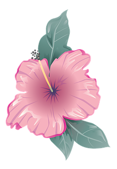 Flower Png 235 X 340