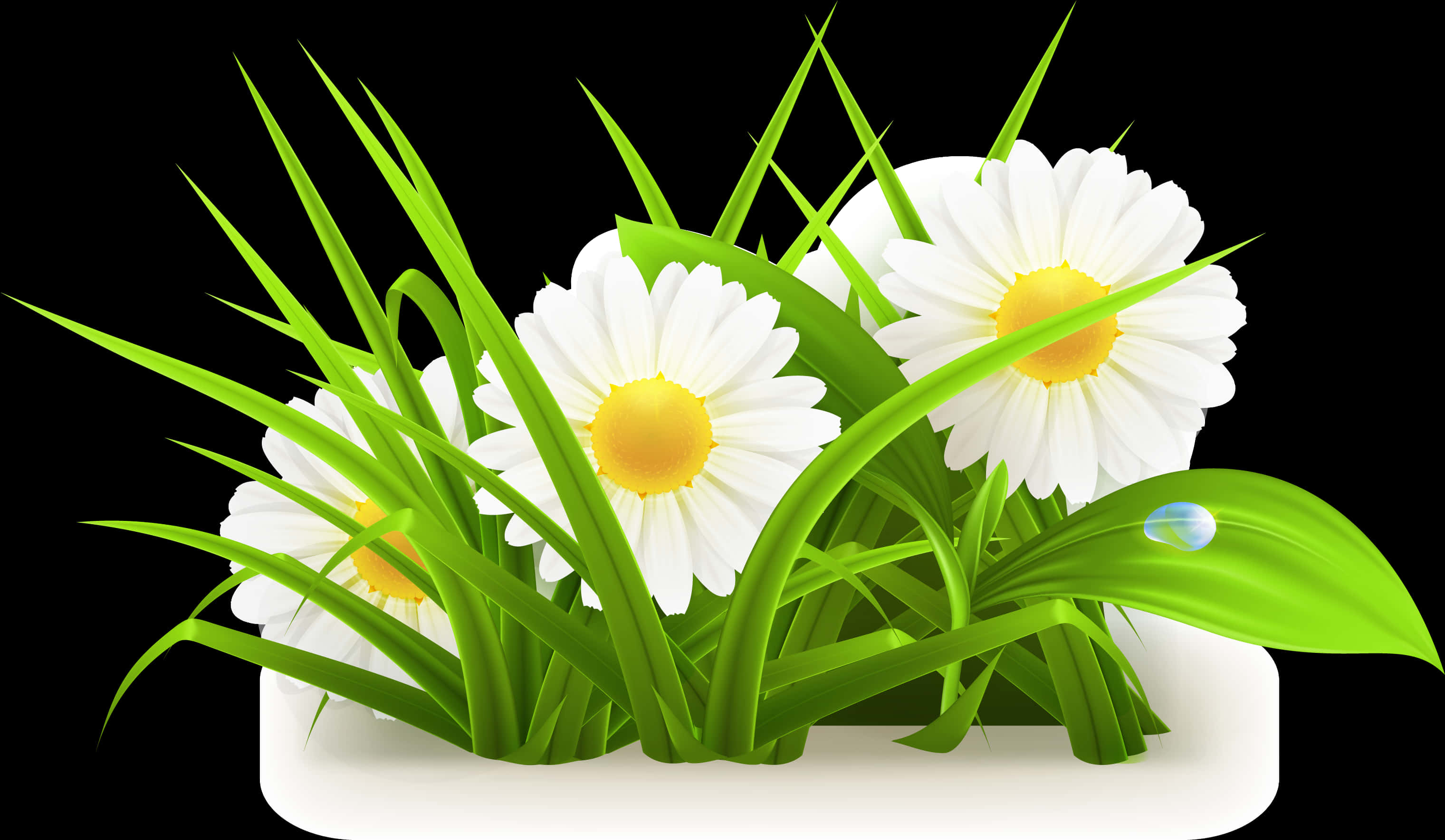 Download A Group Of White Flowers And Green Grass [100% Free] - FastPNG