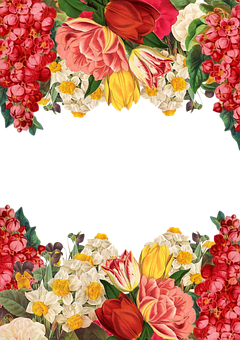 Flower Png 240 X 340