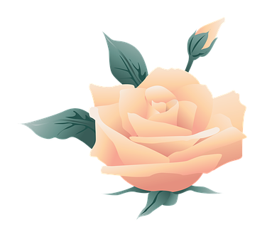 Flower Png 383 X 340