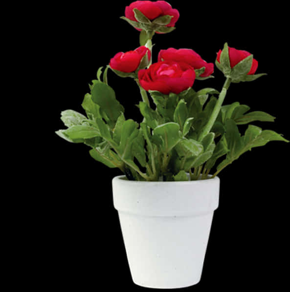 A Potted Plant With Red Flowers