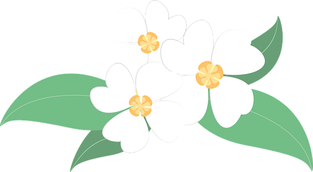 Flowers Png 617 X 340